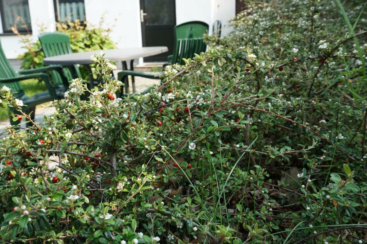 Ferienwohnung Czornebohblick Kubschutz 外观 照片